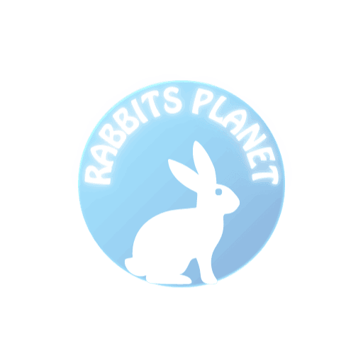 Rabbit Care Essentials