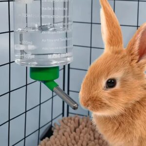 Rabbit Water Bottle