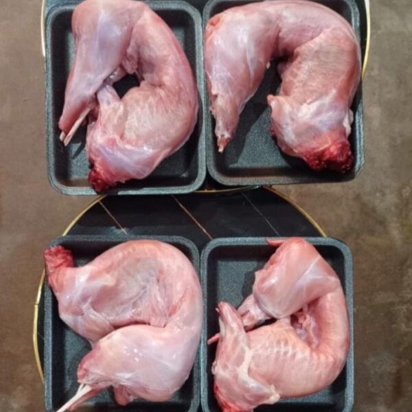 Slaughtered Rabbit
