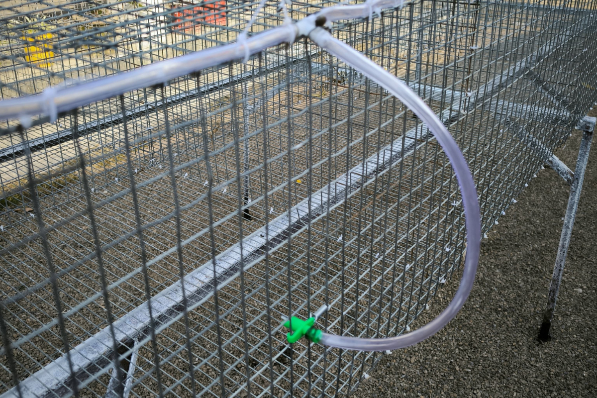 Rabbit Cages