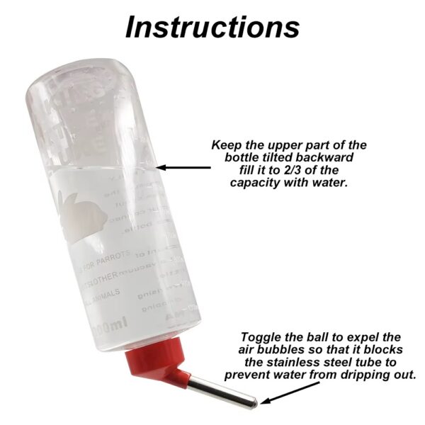 Rabbit Water Bottle - Image 4