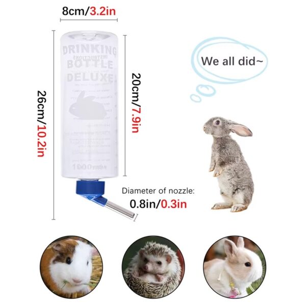 Rabbit Water Bottle - Image 6