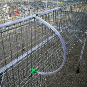 rabbit cage