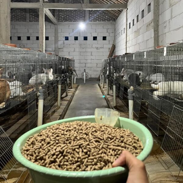 Rabbit Feed