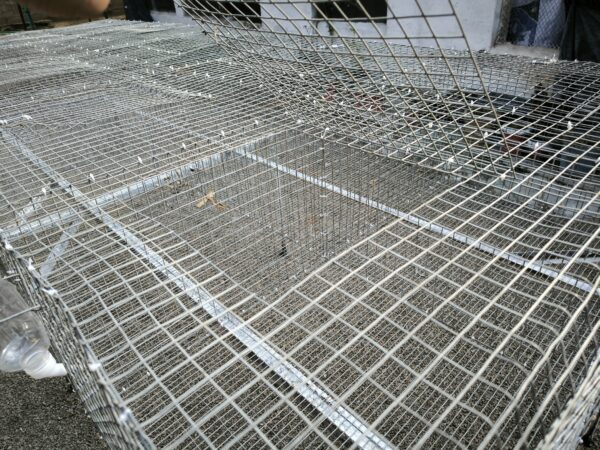 Rabbit Cage